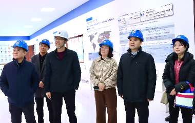 陽(yáng)光電源股份、宜賓智能制造行業(yè)協(xié)會(huì)、宜賓安徽商會(huì)調(diào)研遠(yuǎn)東電纜（宜賓）